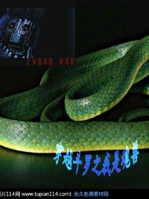 穿越斗罗之我是魂兽