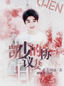 凯少的协议妻