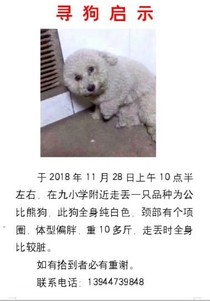 我不知道題目