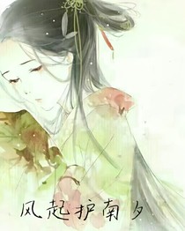 风起护南夕