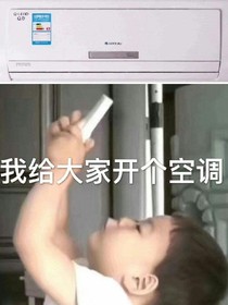 鲤鱼和她的姐妹们