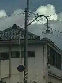 只怪相遇时太美