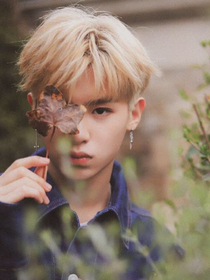 黃明昊%追影人