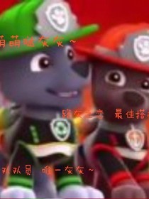 汪汪队——路灰之恋