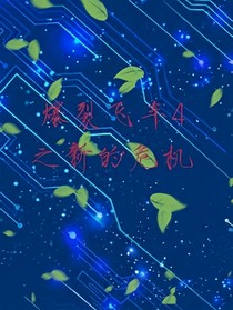 爆裂飞车4之新的危机
