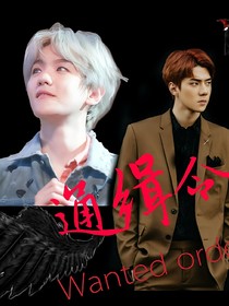 通缉令（b.w）