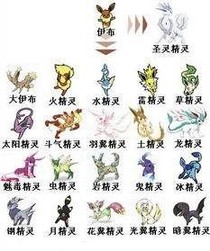 神奇宝贝的世界