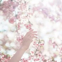 虐心-灿如光芒，烈如清酒