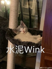R1SE.心動女成員