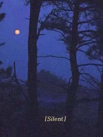 短文集.