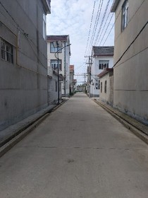 我不是绿茶