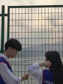 青春之恋全新