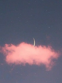 遲來(lái)的過(guò)去