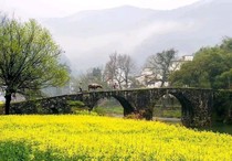 我的日記賬
