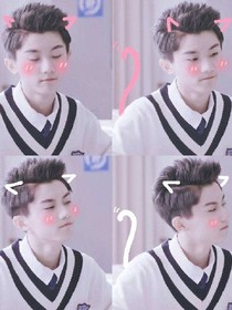 TF家族都是寵妻狂魔