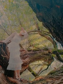 南兮苍后，幻武天下