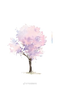 顏如舜華