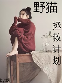 NPC:野貓拯救計(jì)劃