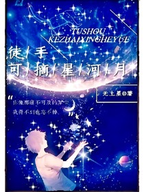 徒手可摘星河月