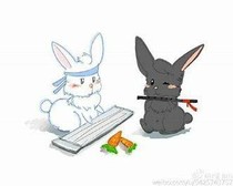 問琴