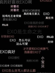 EXO:沙雕少女与大总裁