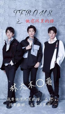 TFBOYS之做你怀里的猫_d808