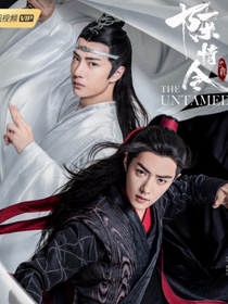 陈情令：不负遇见——d403