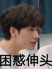 一觉醒来我变成了张颜齐？？