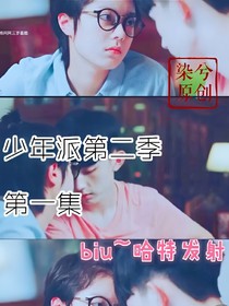 少年派二之校园逆袭