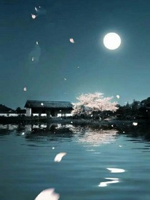 王者：日常聊扣扣