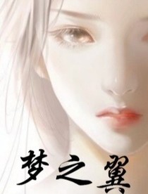 夢(mèng)之翼