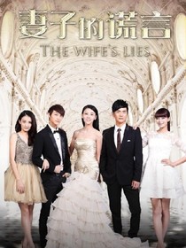 妻子的谎言连续剧_d327