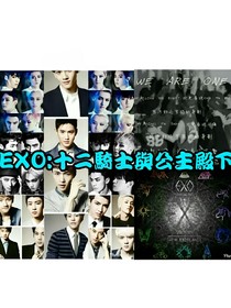 EXO:十二骑士与公主殿下