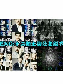 EXO:十二骑士与公主殿下