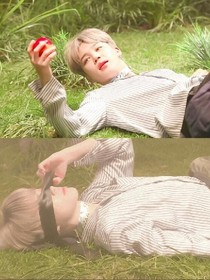 BTS:草莓芝士