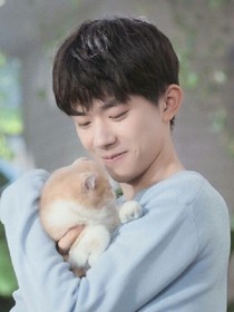 我变成爱豆的猫了怎么破