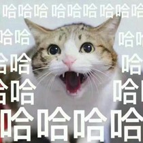 校园逗比女孩儿