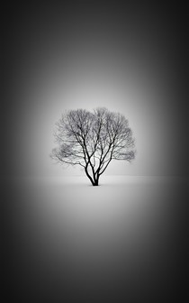 八年级下数学