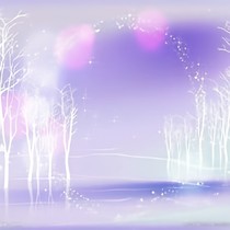 星空下的你与樱花