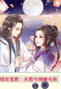 傾世寵君：夫君今晚睡書房