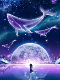 夜空十二星_d153_d272_d826