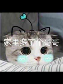 家里多了个哥哥