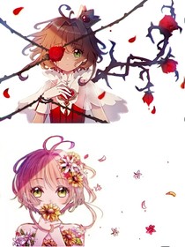 月亮美图