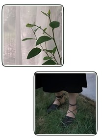 彼岸迷宫