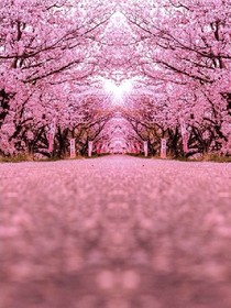 校园记，玄幻