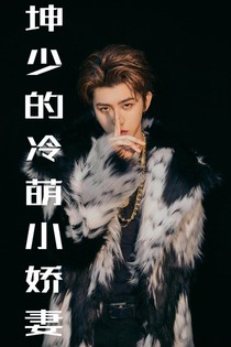 坤少的冷萌小娇妻