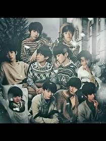 TF家族小故事