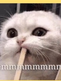 QQ君變成月老了?