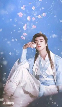 三生三世之凯惜媛