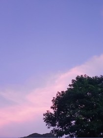 网上之约